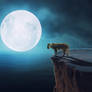 Lion Moon Fantasy Photo Manipulation