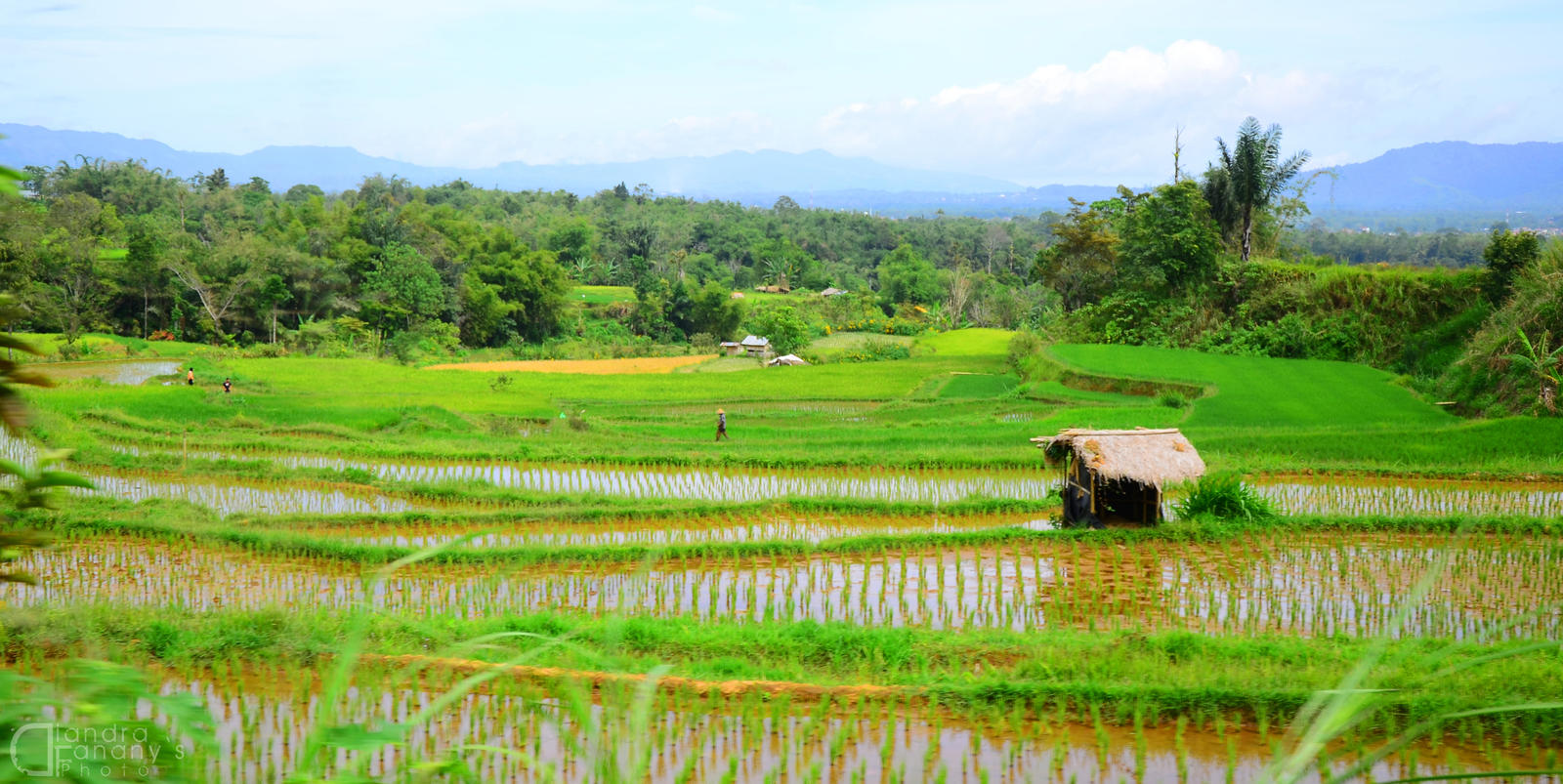 Ranah Minang