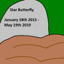 Star Butterfly Grave