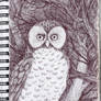 CRTAK 05 Owl2