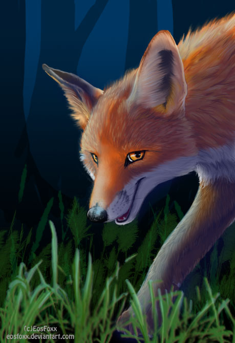 First fox. Foxcraft Айла. Фокс крафт Сиффрин Вики. Шахматная лиса. Fox Craft персонажи.