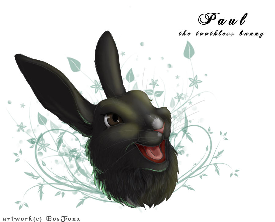 Toothless Bunny Rabbit Paul - the toothless bunny by EosFoxx on DeviantArt