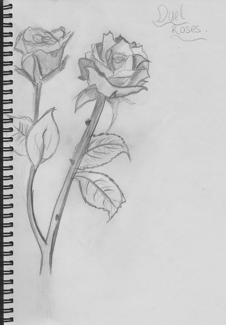 Duel Roses by Charlie0901 on DeviantArt