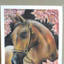 arabian horse portrait Final