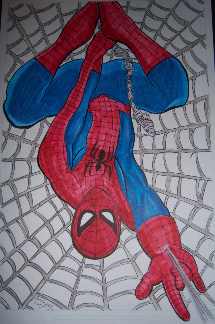 Spidey Camp Contest