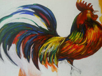 rooster progress 5-18-11
