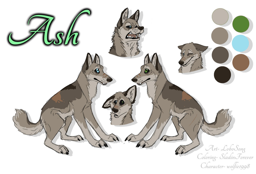 Ash Reference Ash Reference by LoboSong on DeviantArt