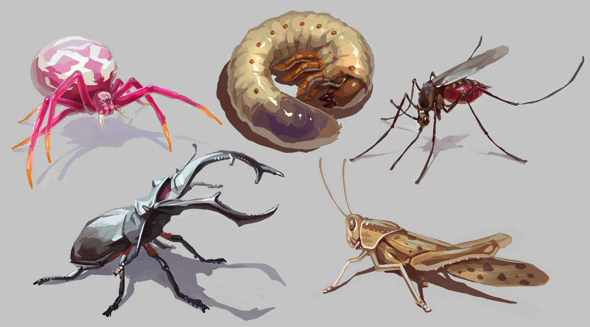 Art study: insects by Cayman307 on DeviantArt