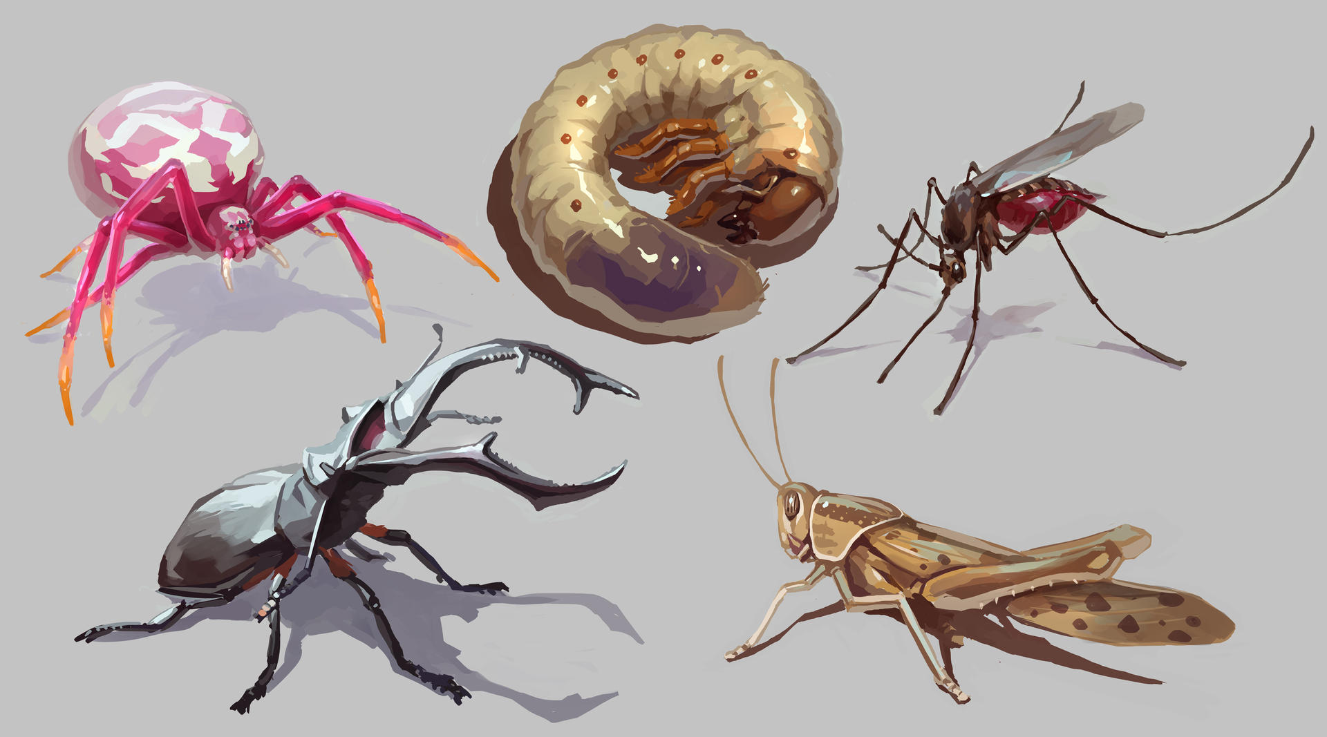 Art study: insects by Cayman307 on DeviantArt