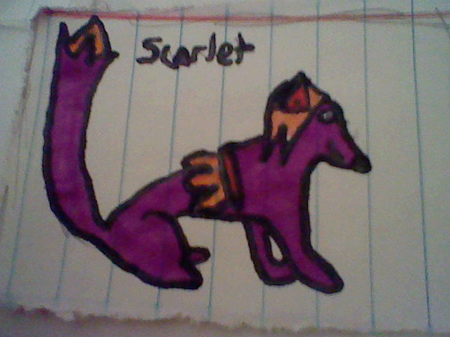 scarlet the fox