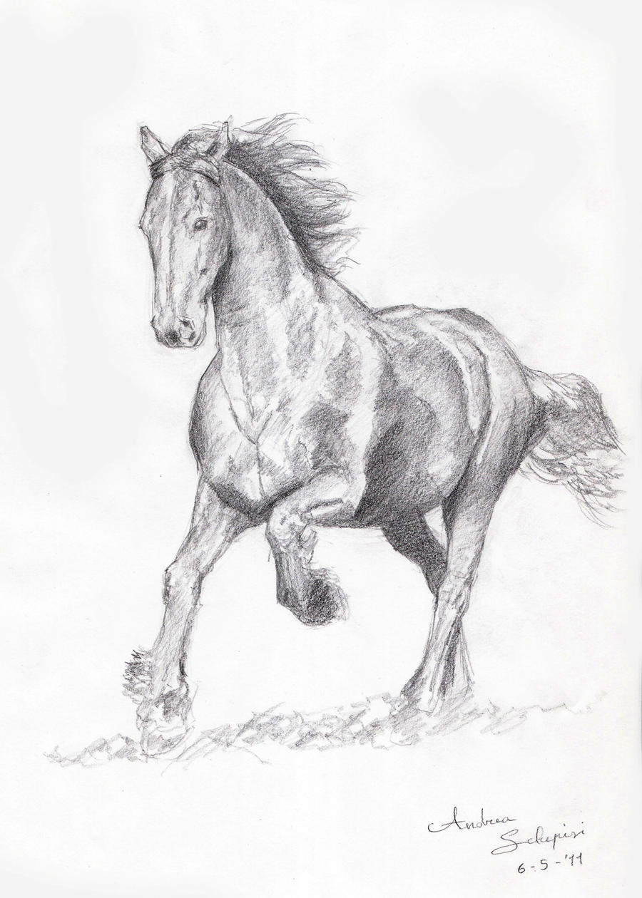 100th Deviation - Horse sketch