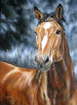 Horse - oil on canvas by AndreaSchepisi