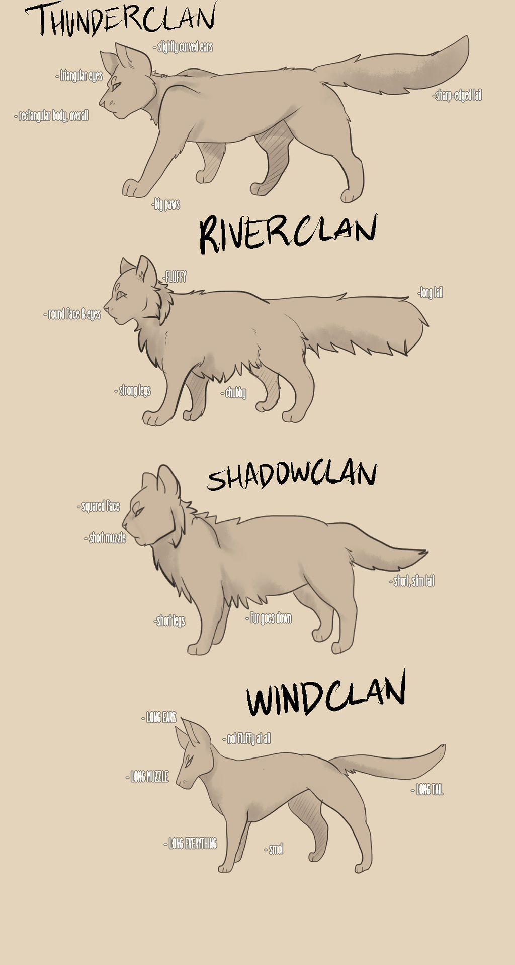 warrior cats physical appearance