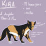 kira - reference sheet