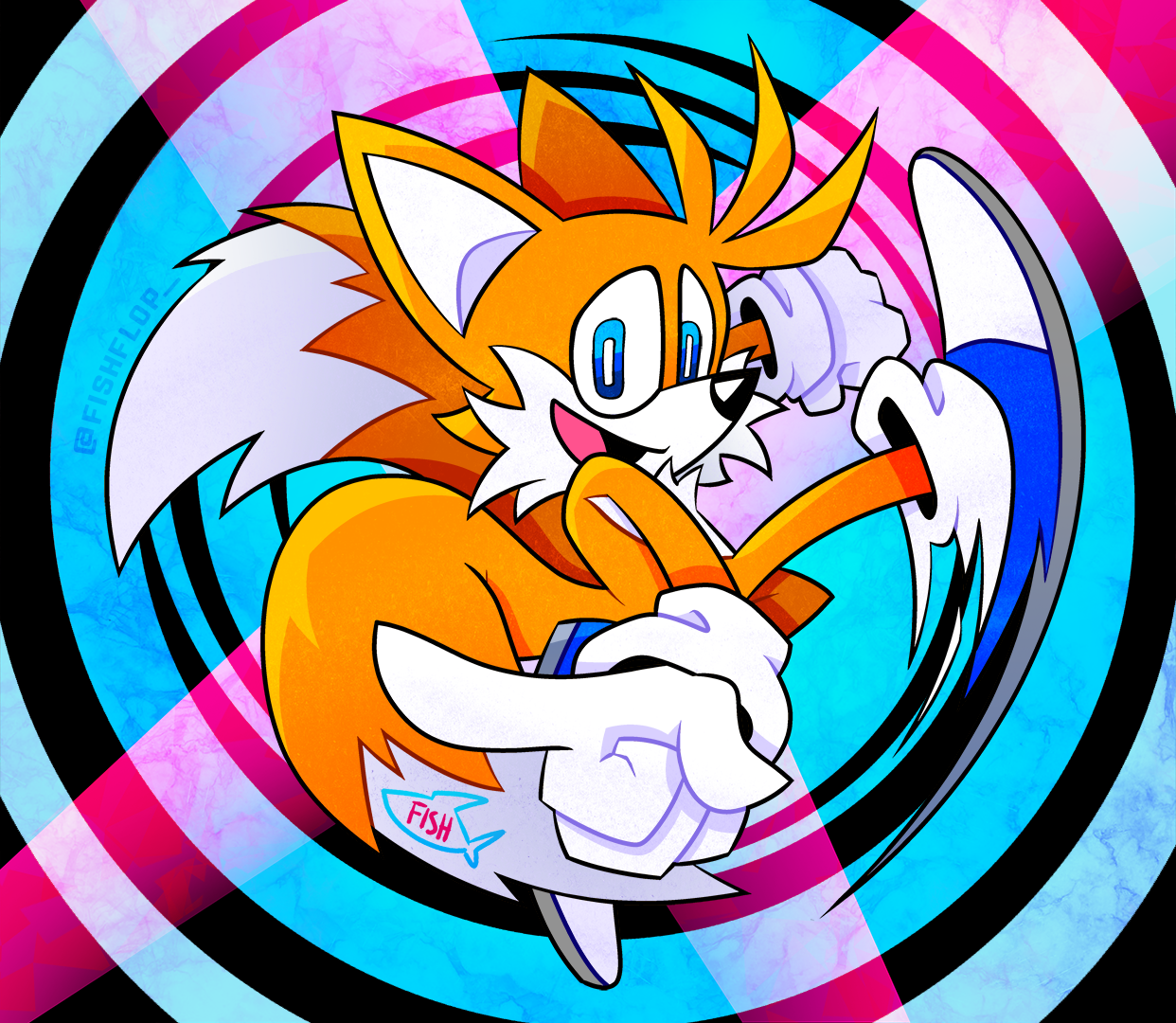 Sonic and Tails Colour Swap by Kamicciolo on DeviantArt