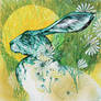 THE GREEN HARE..A DIVERSION.