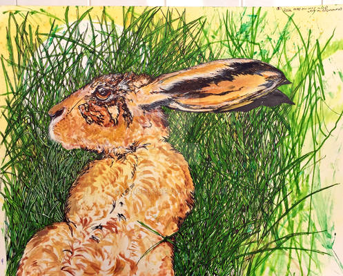 Hare In The Long Grass