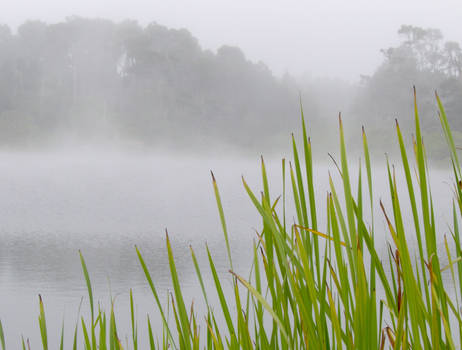 Misty Pond