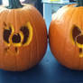 Skooch and Clide Pumpkin!!!