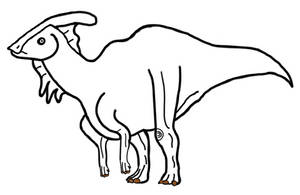 Parasaurolophus Walkeri