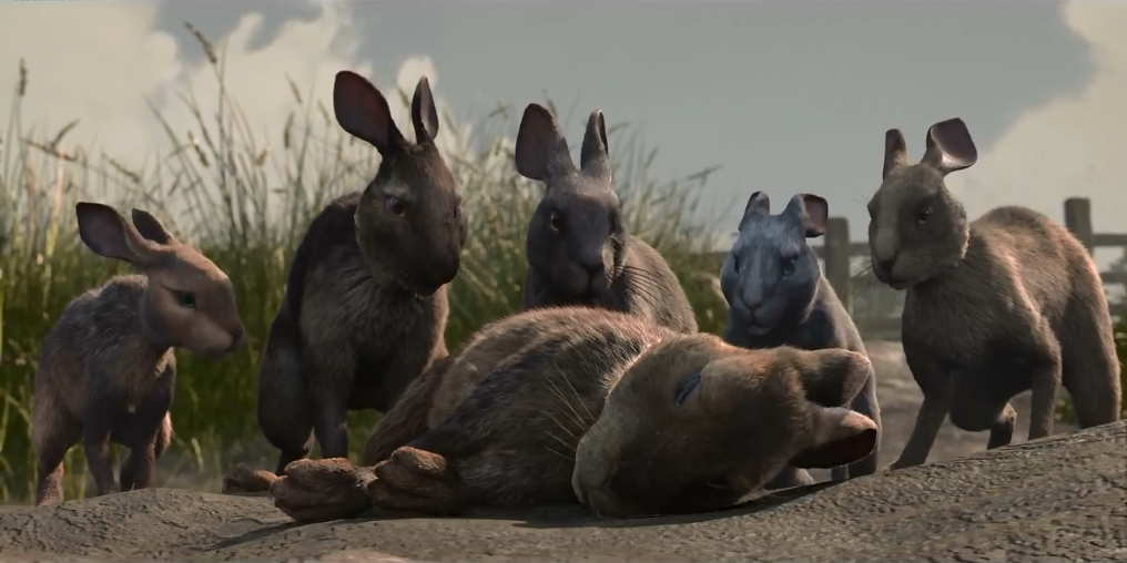 The other rabbits approaching Hazel by Hunger1234 on DeviantArt