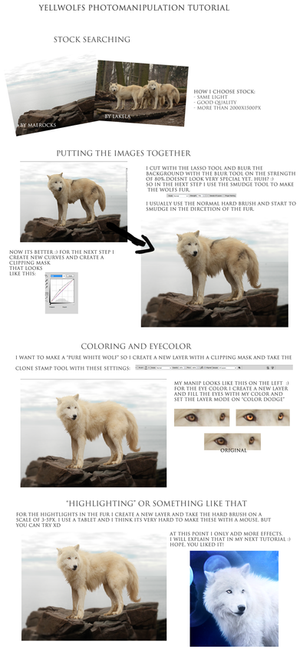 Yellwolfs short Photomanipulation tutorial