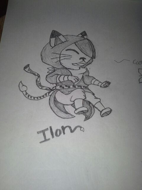Assassin Cat by Zoven-yakushi on DeviantArt