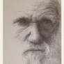 Charles Darwin [shot of copy of my drawing]