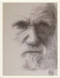 Charles Darwin [shot of copy of my drawing]