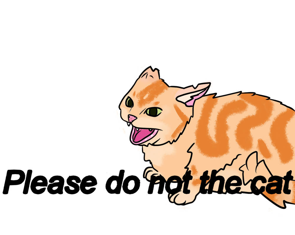 Please Do Not The Cat By Lightningsocks On Deviantart