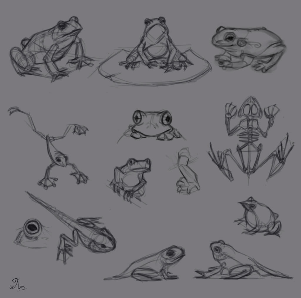 Frogs