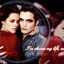 Edwar and Bella Banner