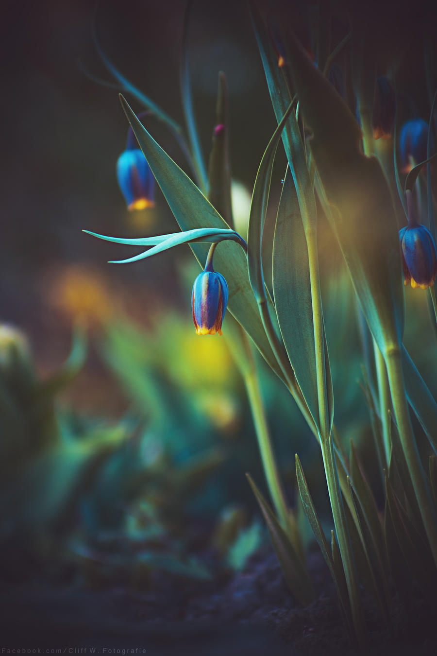 lights go on by CliffWFotografie