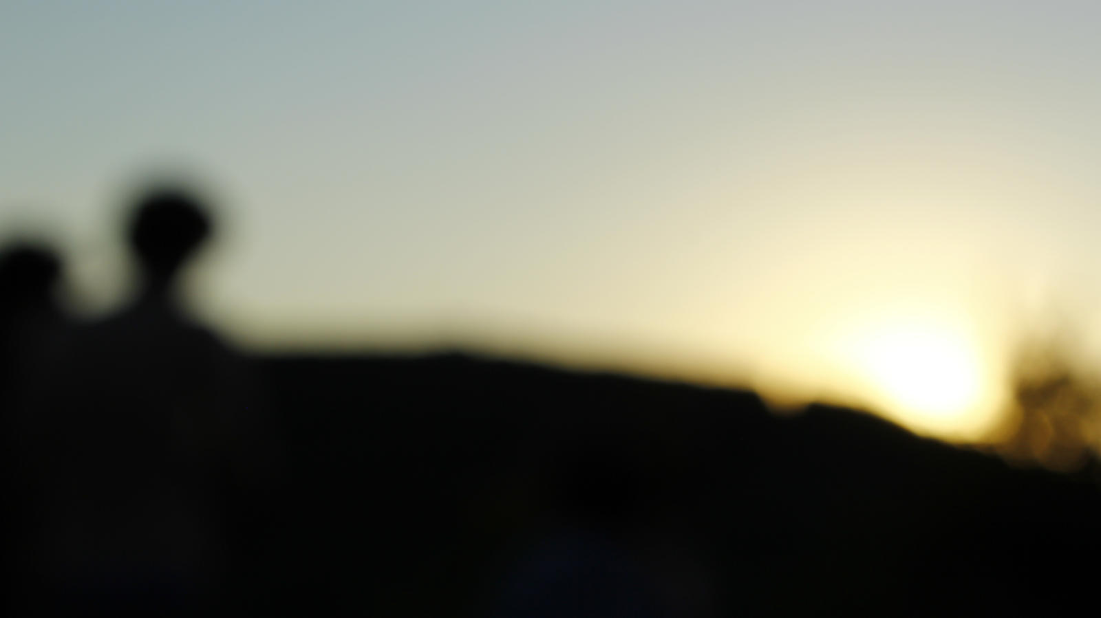 Perspicacity by Oblio16 on DeviantArt