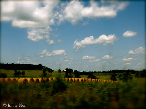 Hay Field