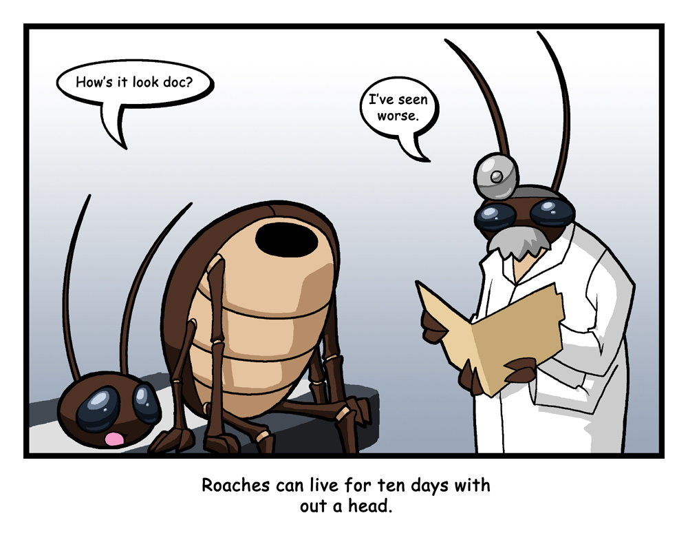 The Pest On My Shoulder Comic Insect Comic 1 by rongs1234 on DeviantArt