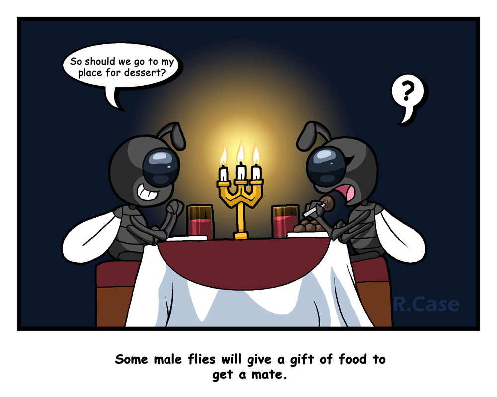 Insect Comic 3