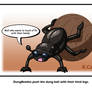 Insect Comic 4