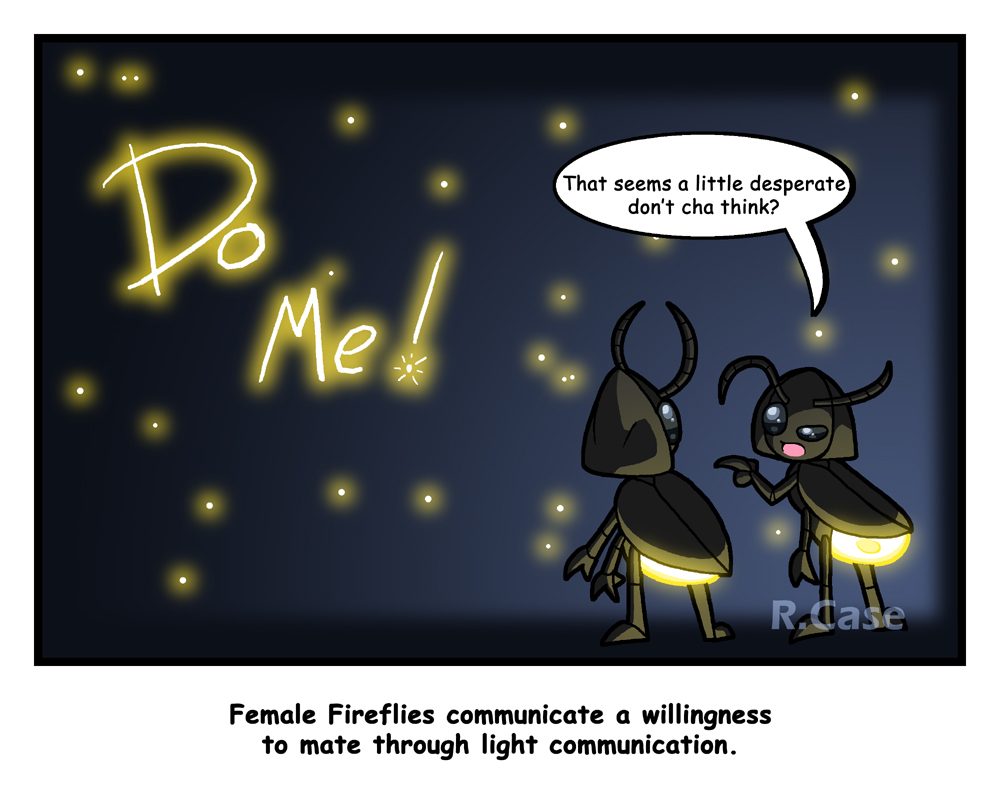 Insect Comic 6 by rongs1234 on DeviantArt