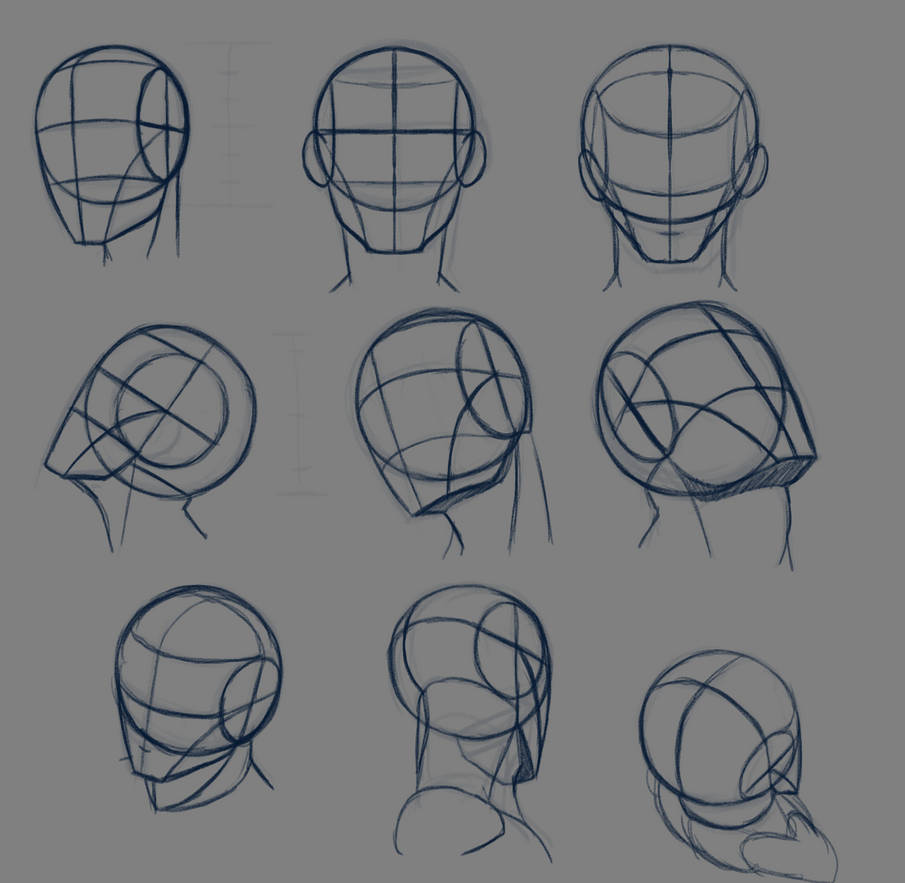Loomis heads by rongs1234 on DeviantArt