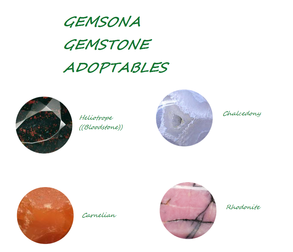 Gemsona Gemstone Adopts  Closed