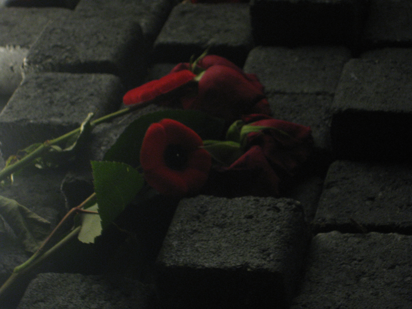 Wilted Roses and Stone