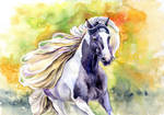 Gypsy Vanner horse by VeronikaFrizz
