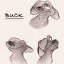 Buck Sketches - 2