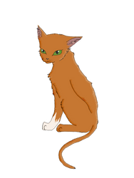 Squirrelflight