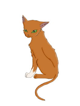 Squirrelflight