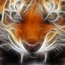 Fractal Tiger2