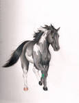 Prize for evergreen16 by h0wr