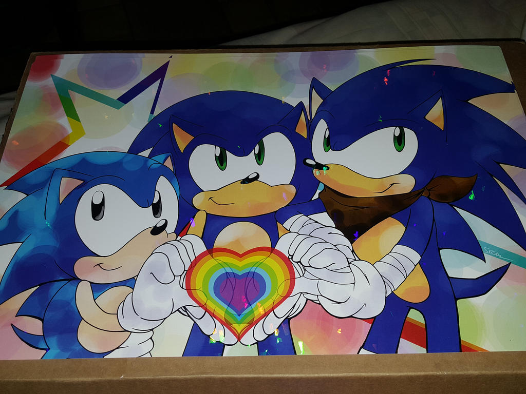Sonic Pride
