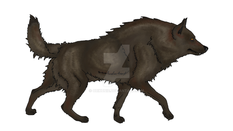 (CLOSED) Free! Wolf adoptable BROWN